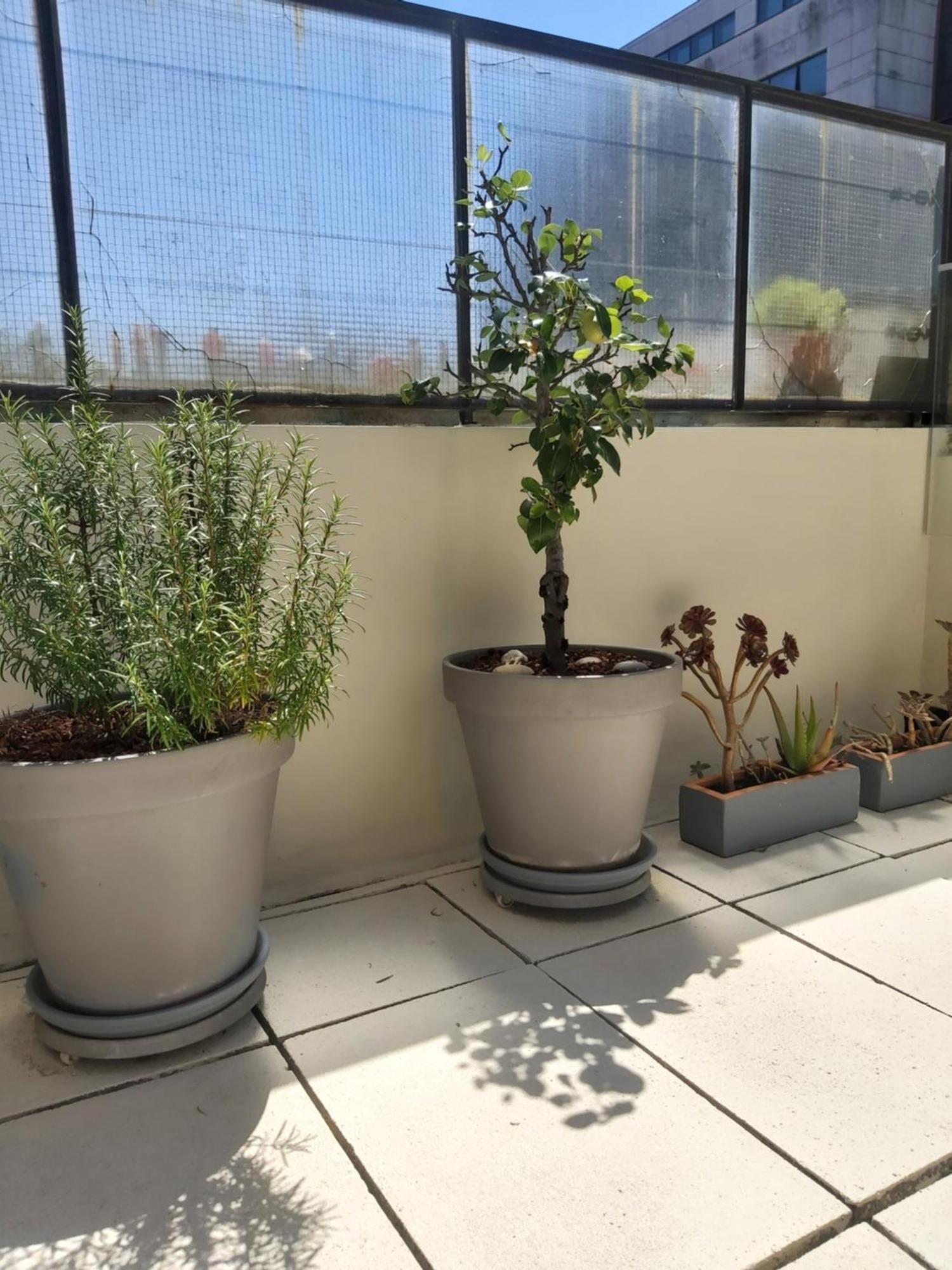 Porto Terrace Apartment المظهر الخارجي الصورة