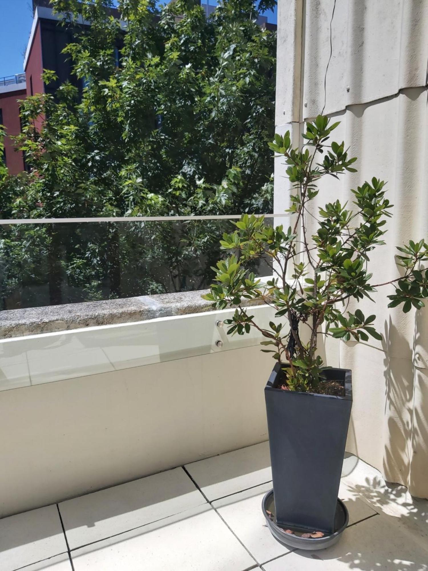Porto Terrace Apartment المظهر الخارجي الصورة